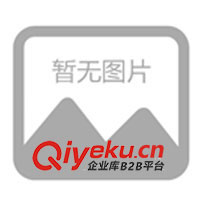 09年春夏休閑情侶裝，運(yùn)動(dòng)時(shí)尚裝，征全國(guó)各地批發(fā)商